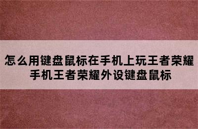 怎么用键盘鼠标在手机上玩王者荣耀 手机王者荣耀外设键盘鼠标